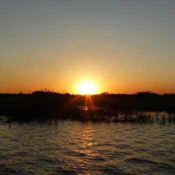 Foto door Marieke Alferink